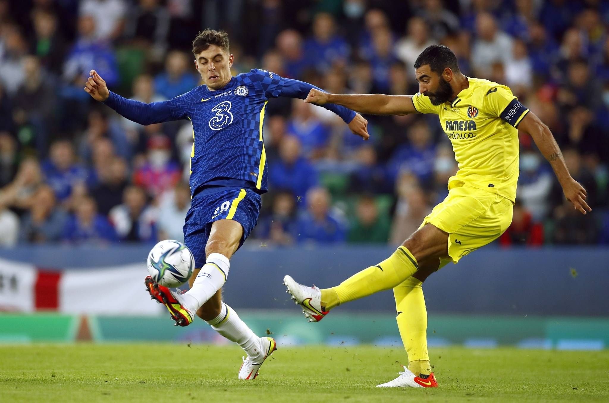 多特蒙德目 多特蒙德目